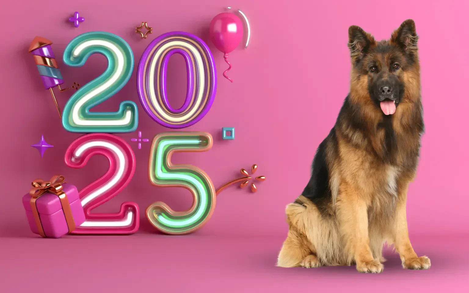 2025 Resolutions for Healthier, Happier Dogs