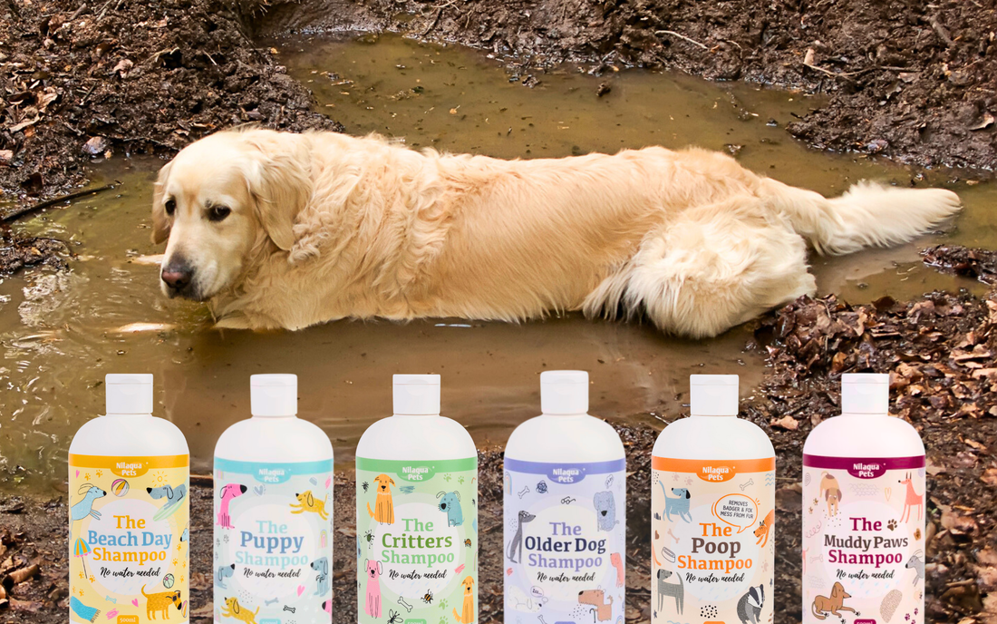 No Tap, No Trouble: Waterless Shampoo for Happy Dogs