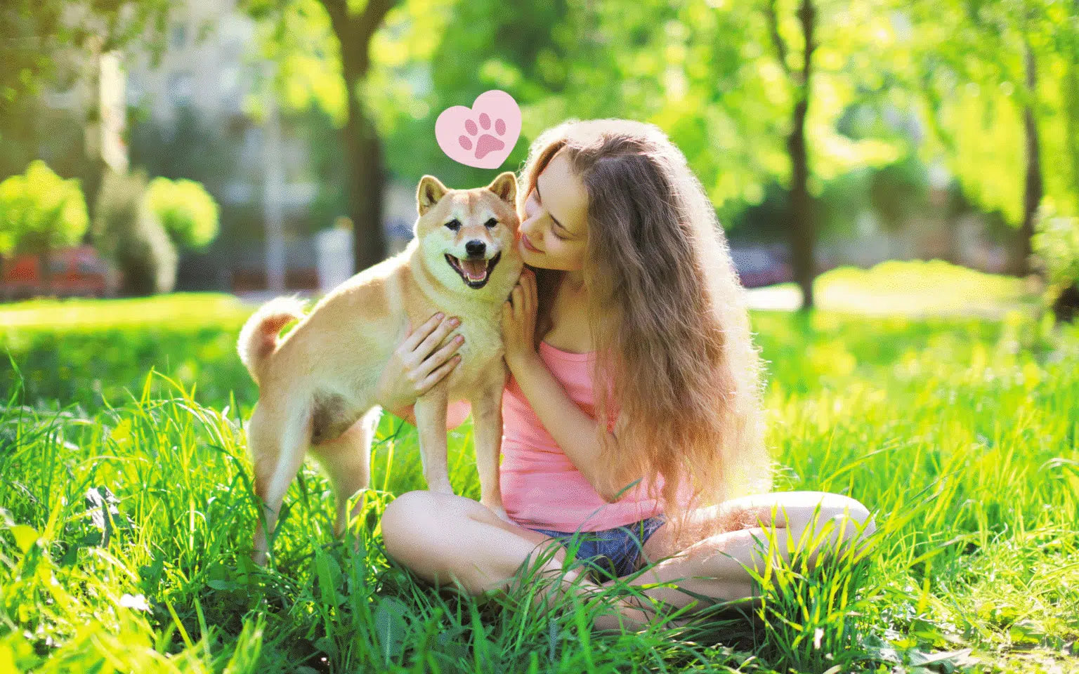 Which Dog Breed Matches Your Personality? Take Our Quiz!