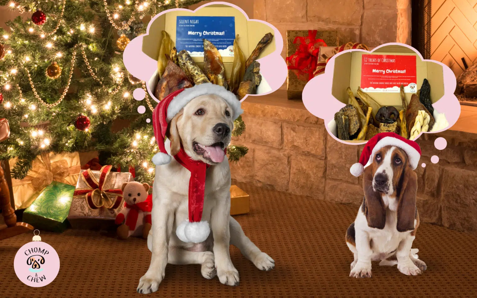 A Tail-Wagging Christmas: Why Your Dog Deserves A Festive Chomper Box