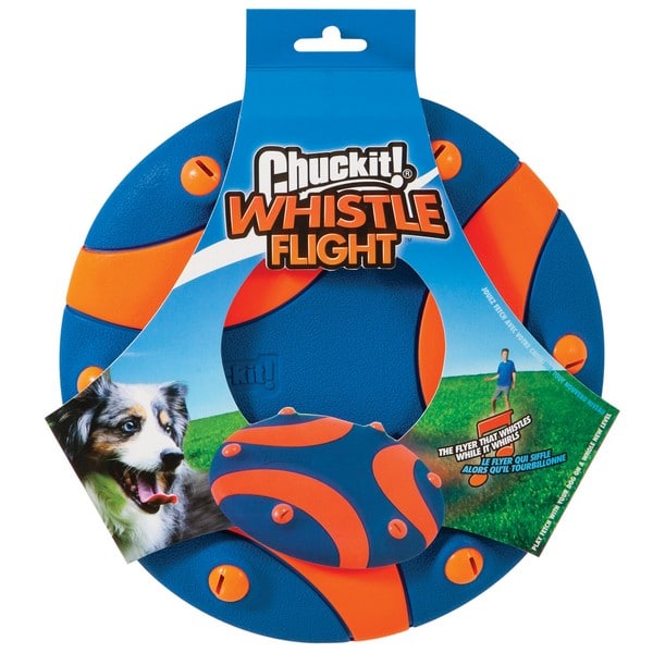 dog frisbee