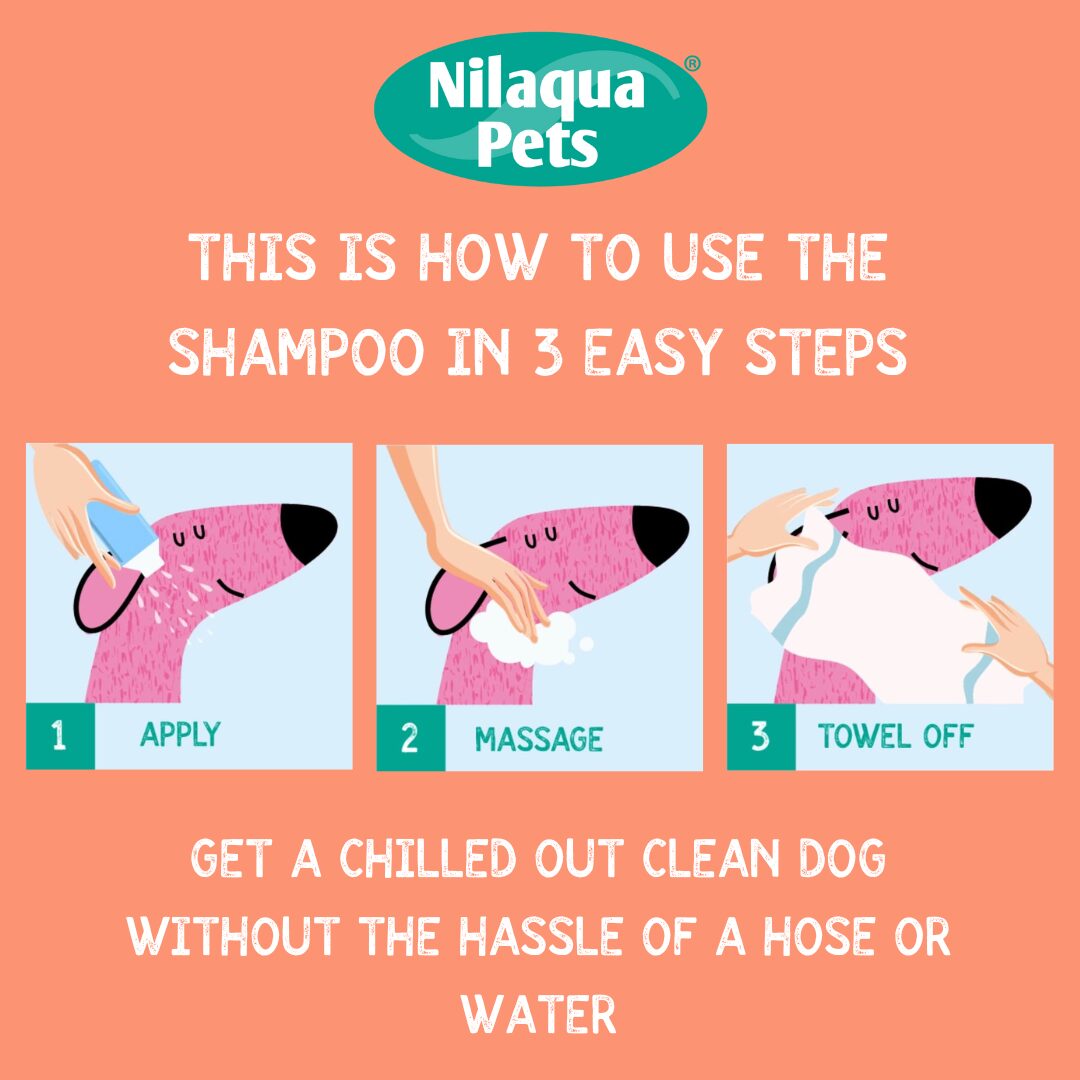 The Older Dog Shampoo (500ml)