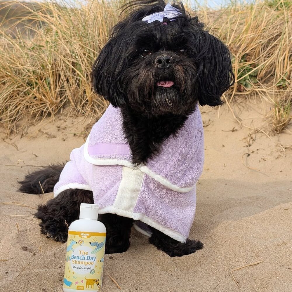 The Beach Day Shampoo (500ml)