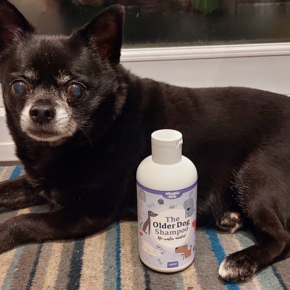 The Older Dog Shampoo (500ml)