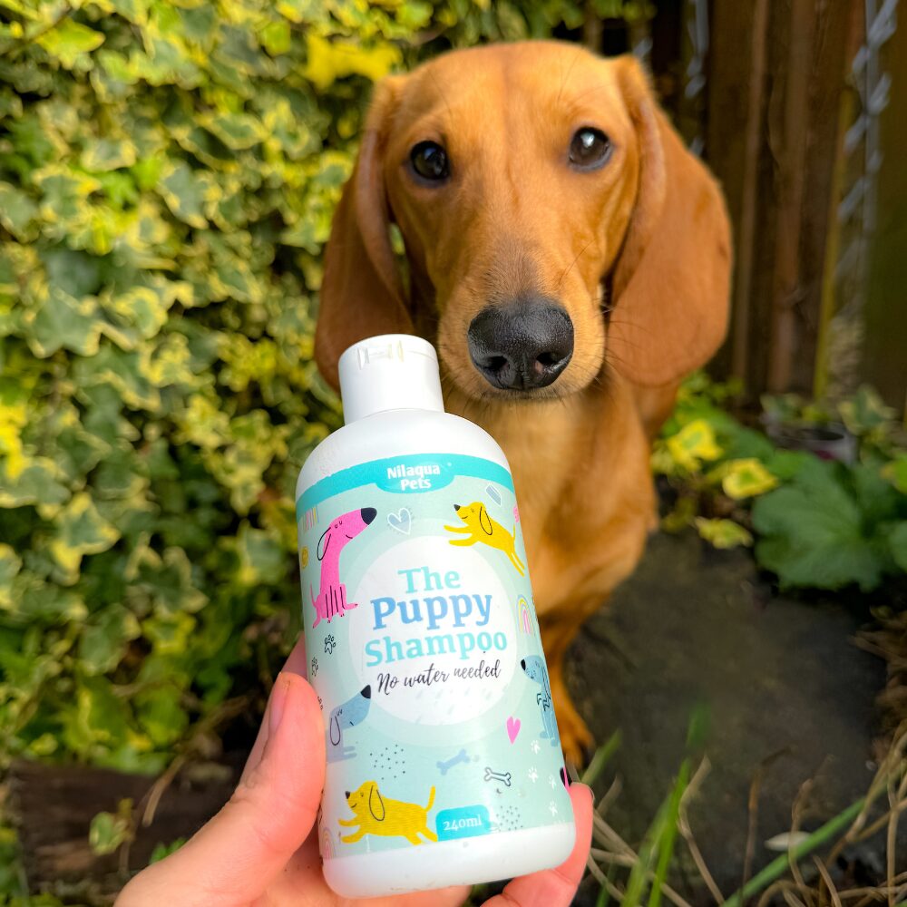The Puppy Shampoo (500ml)
