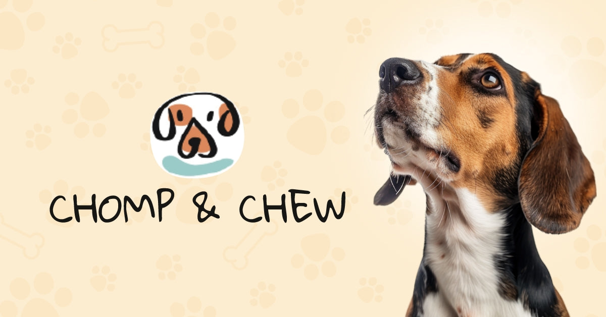 Chomp & Chew – Chomp & Chew