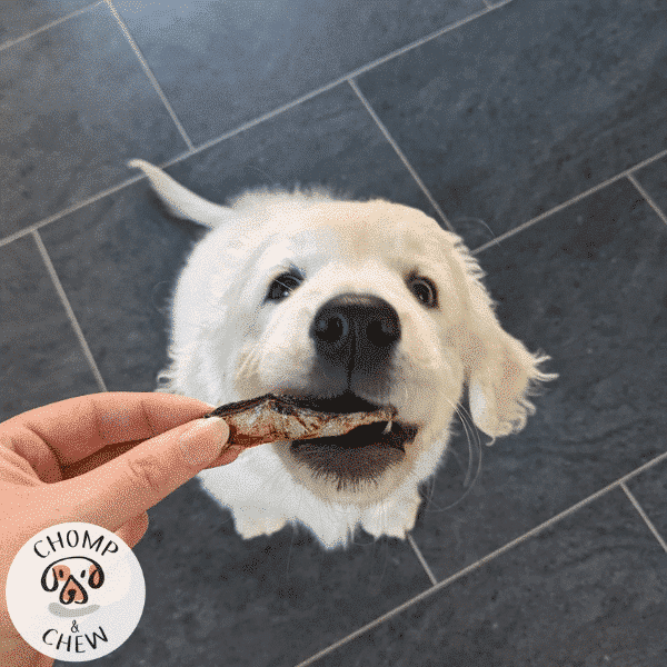 Sprats Dog Treats