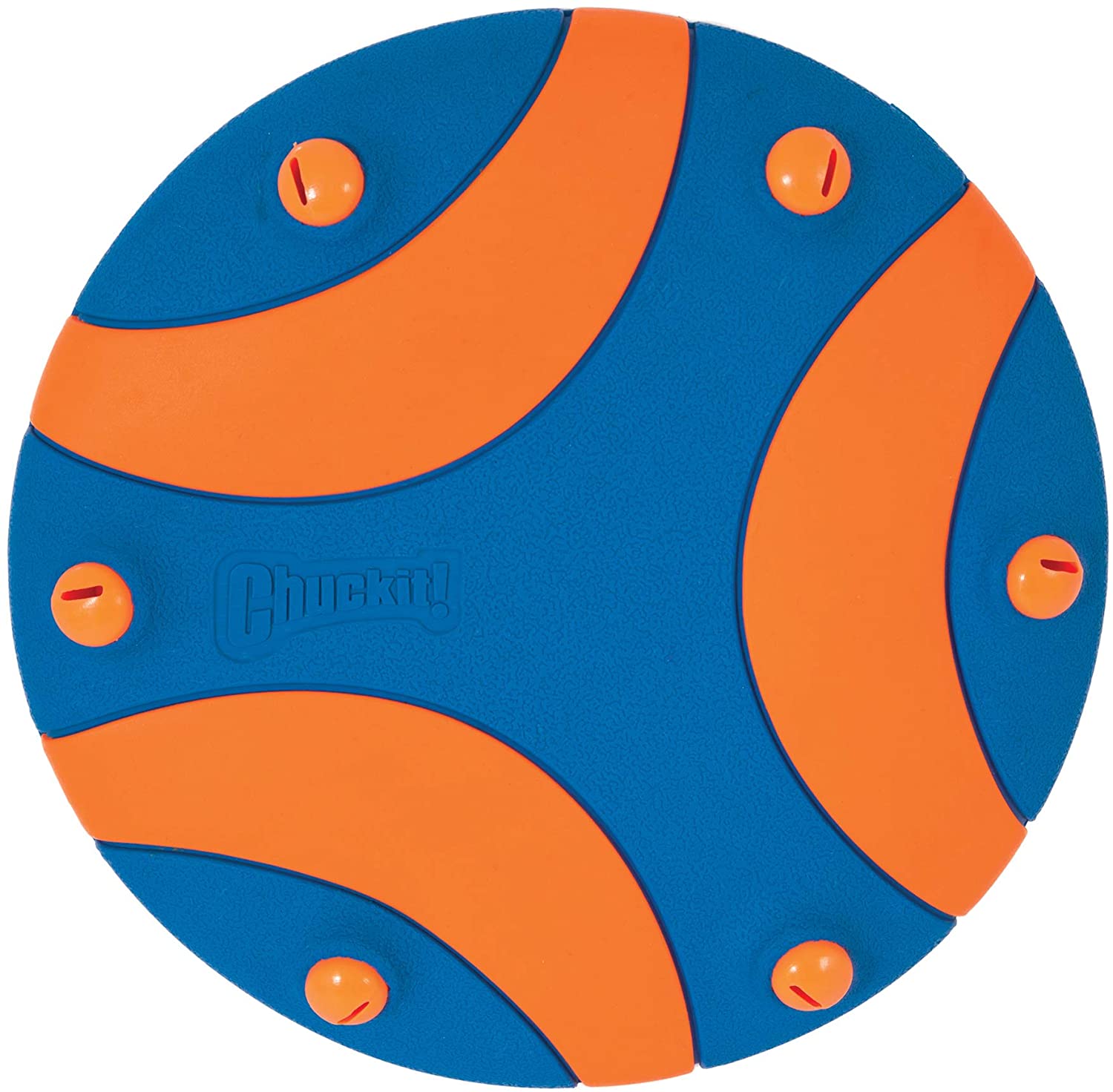 dog frisbee