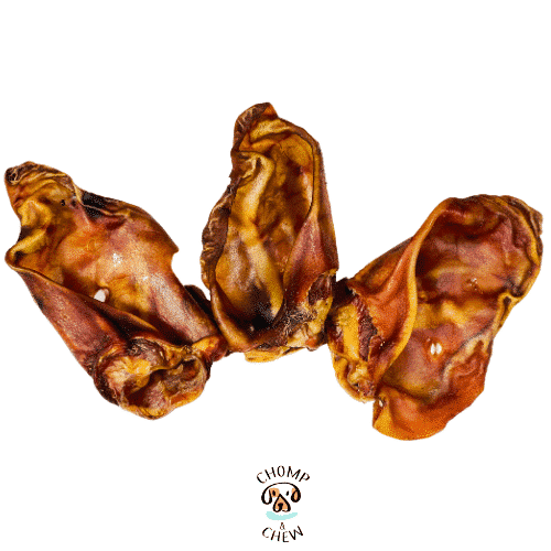XL Pig ears for dogs