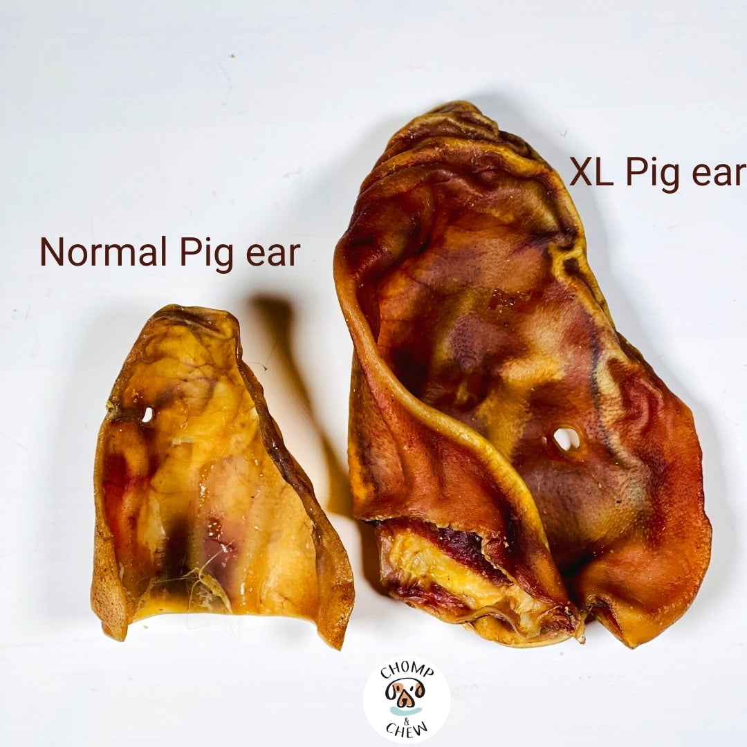 Pig Ears
