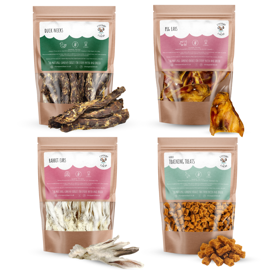 Alternative Bonfire Bundle