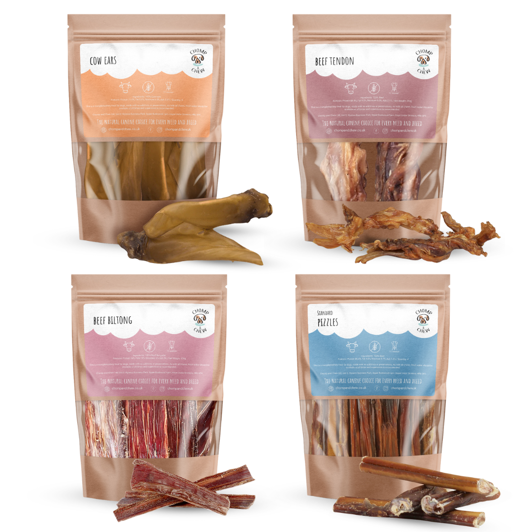 Beefy Bonfire Bundle