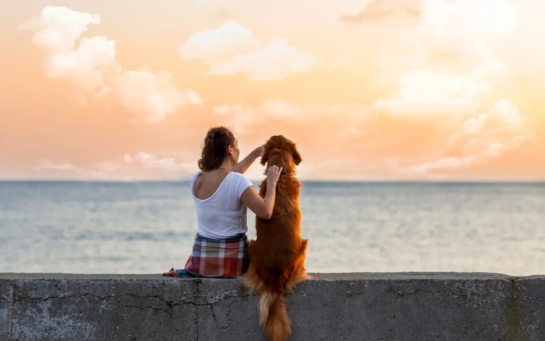 The Benefits of Having a Dog
