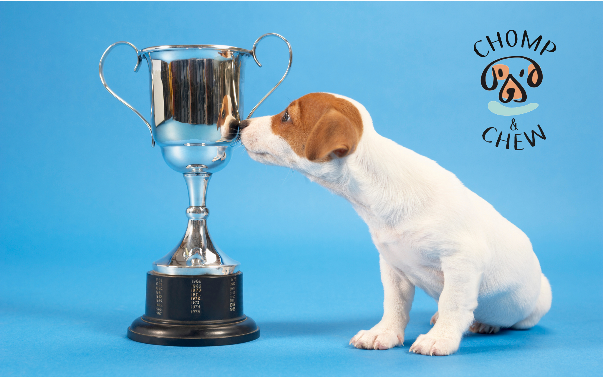 Chomp & Chew 2025 Bestsellers Round-Up