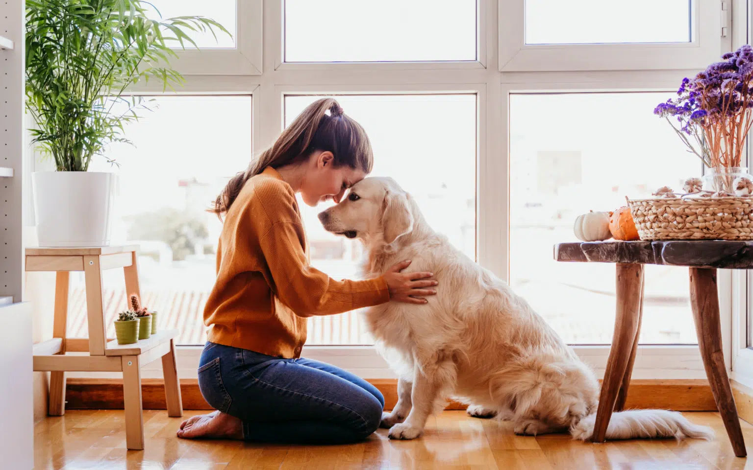 5 Amazing Benefits of Being a Dog Parent