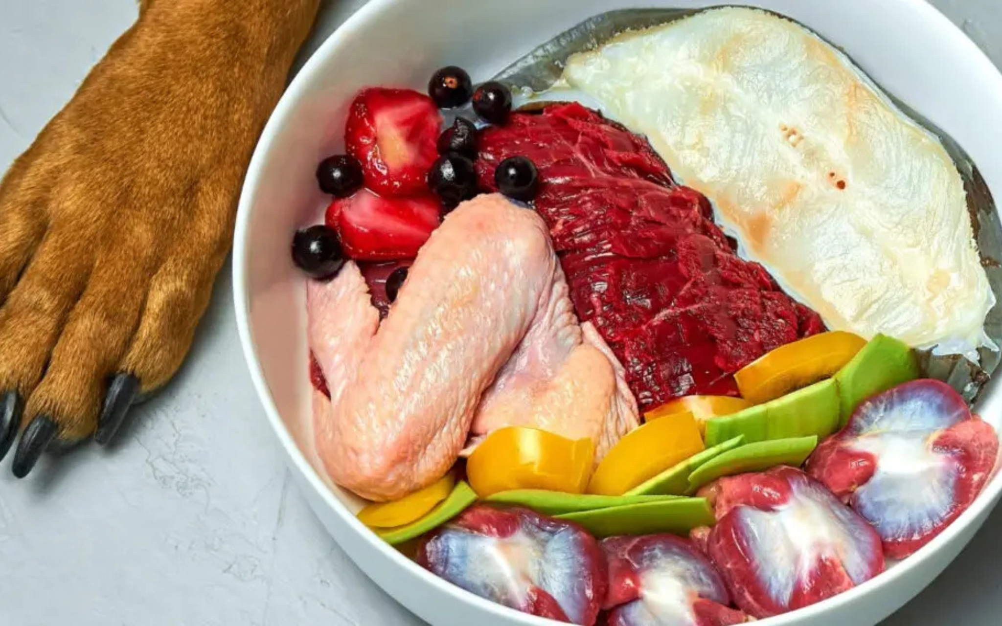 The Benefits & Risks of the Raw Diet