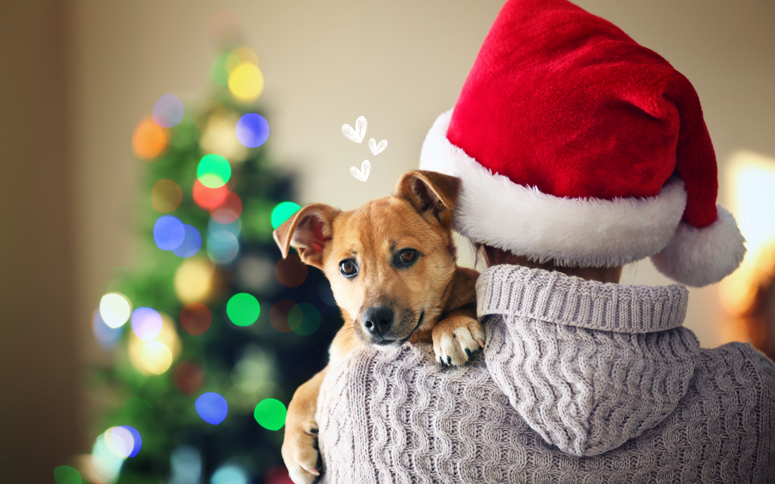 10 Ways to Include Your Dog in Christmas Festivities