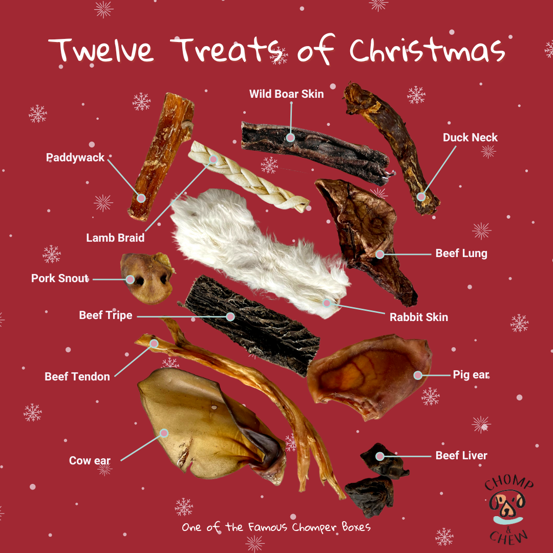 12 Treats of Christmas Festive Chomper Box®
