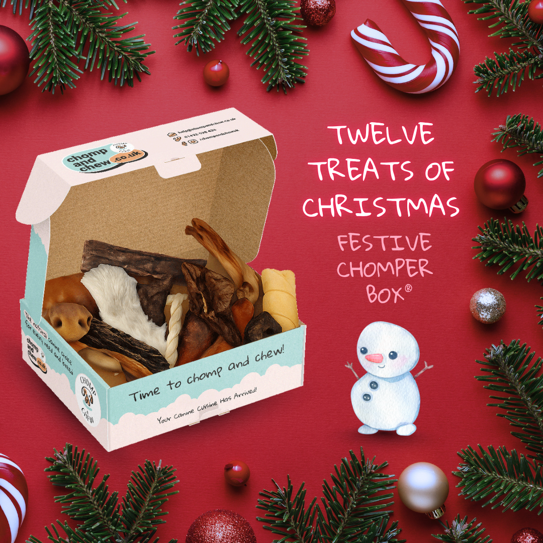 12 Treats of Christmas Festive Chomper Box®