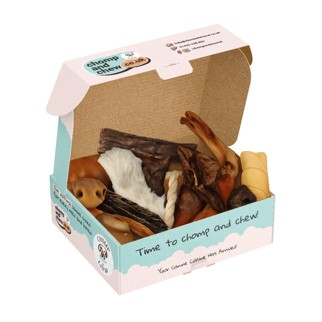 12 Treats of Christmas Festive Chomper Box®