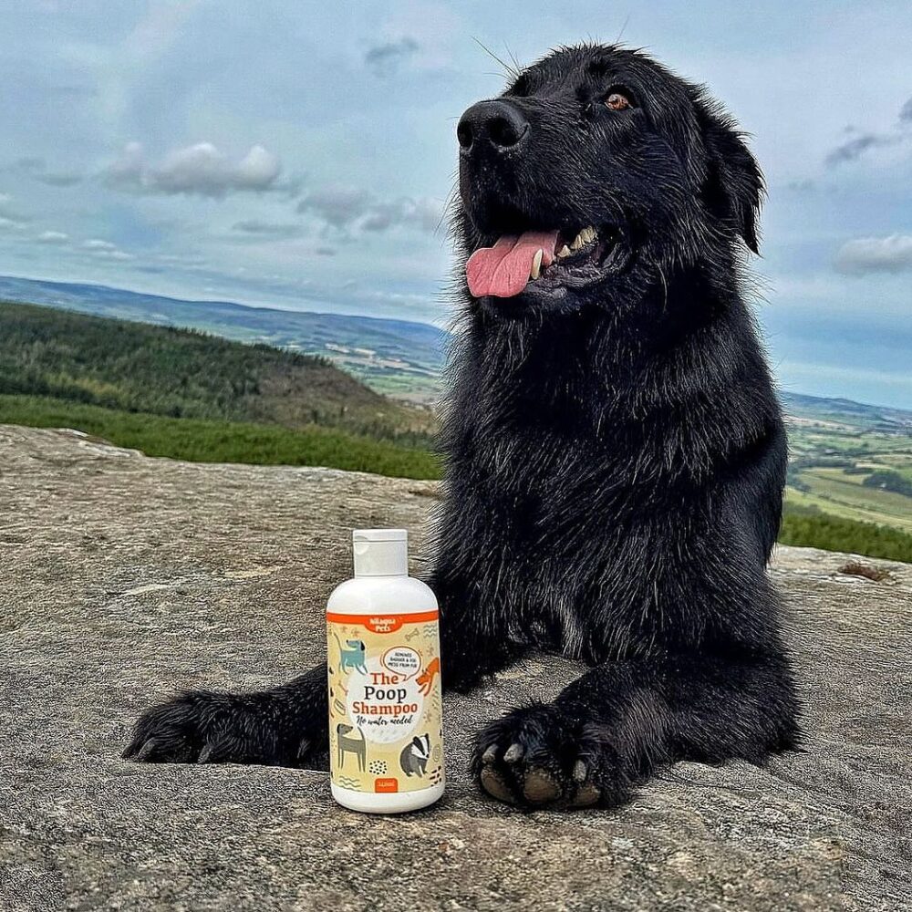 The Poop Shampoo (500ml)