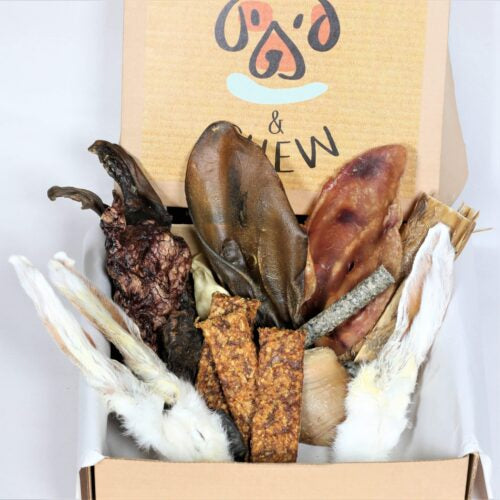 Adult Chomper variety dog treats box
