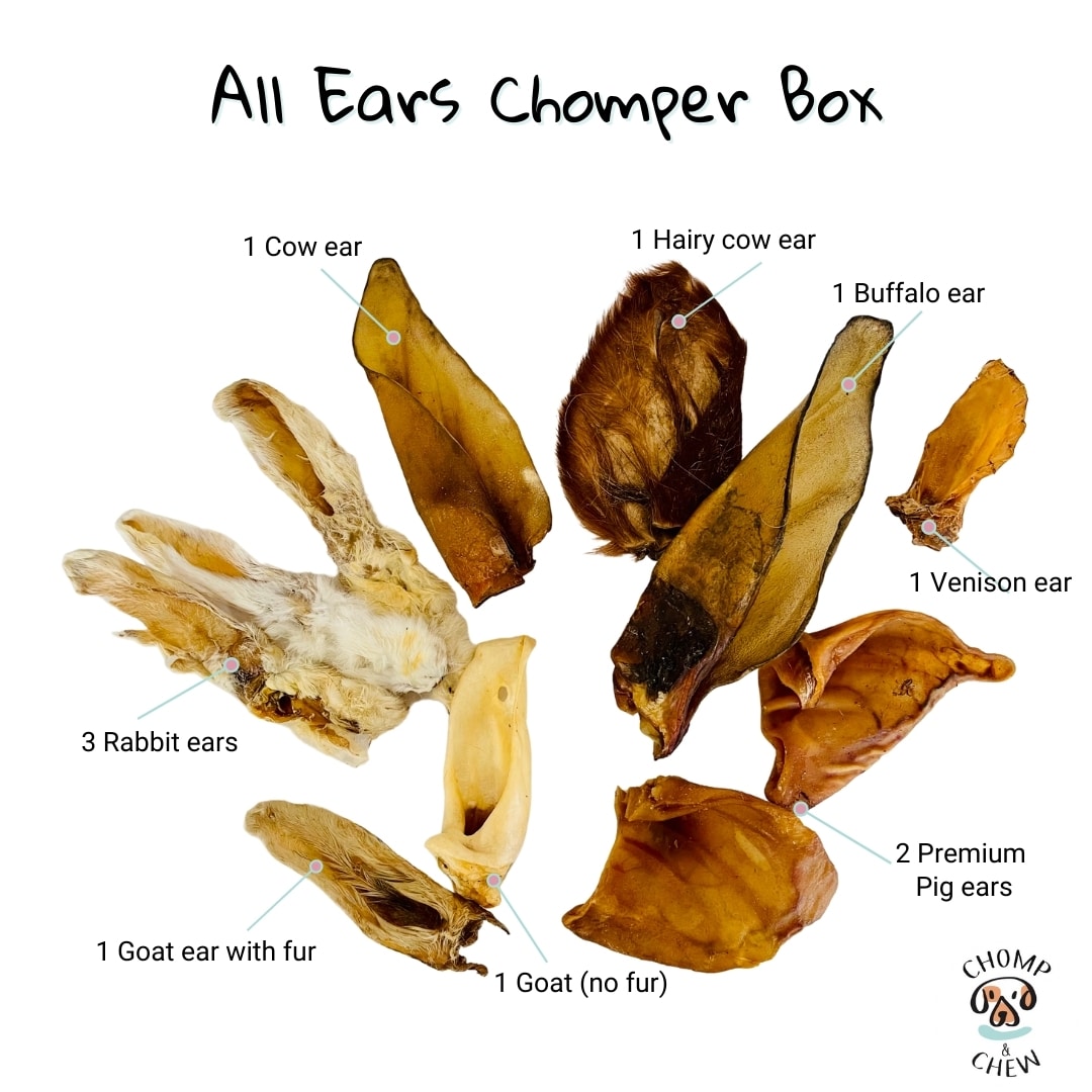 All Ears Chomper Box