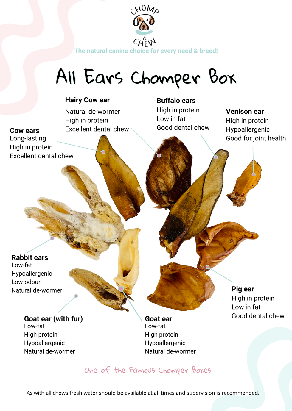 Chomp Varieties All Ears Chomper Box® – Chomp & Chew