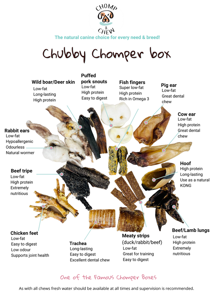 Chubby Chomper Box® - Variety Dog Treats – Chomp & Chew