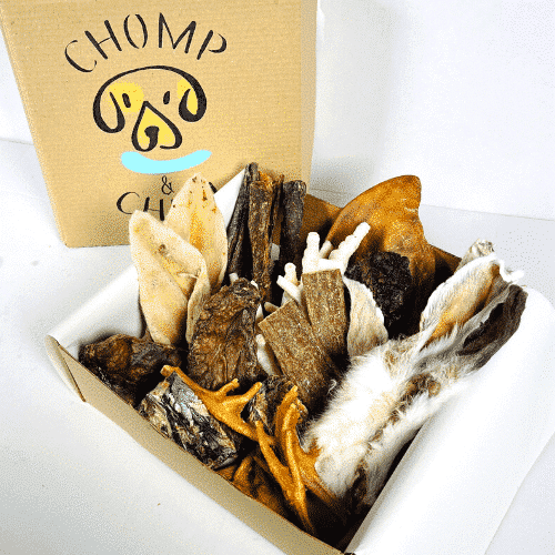 Easy Chomper dog treats box