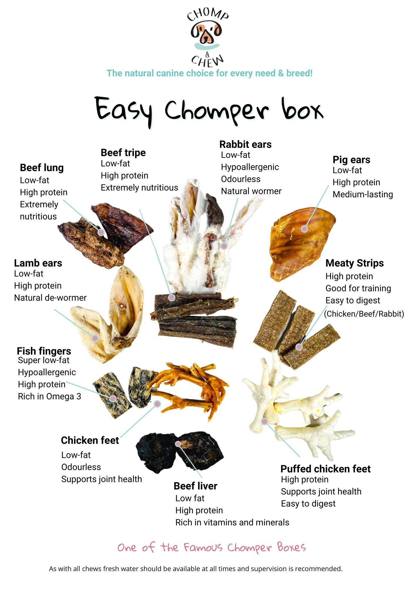 Easy Chomper Box® - Variety Dog Treats