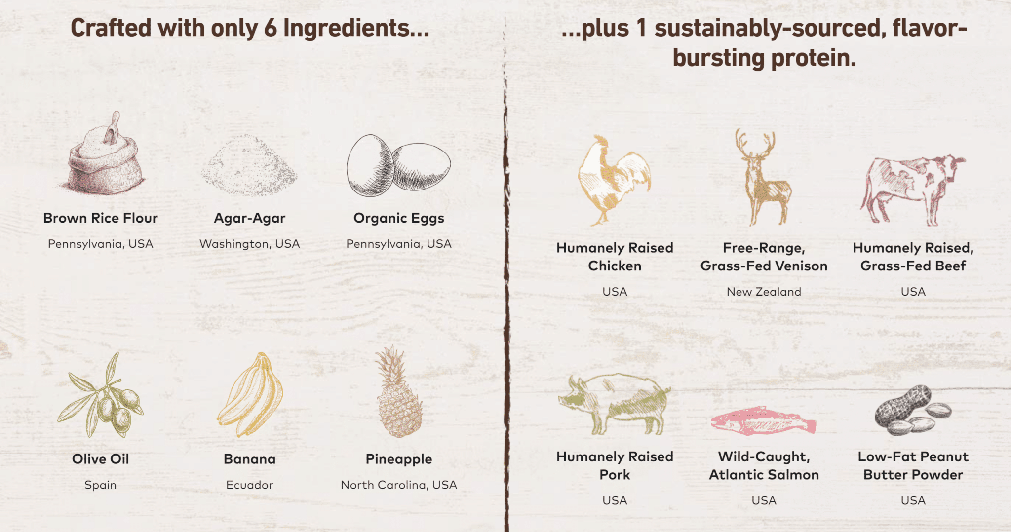 Earth Animal No-Hide Chew - Beef
