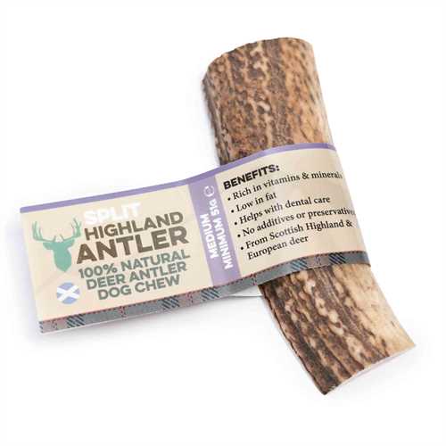 Split Antler