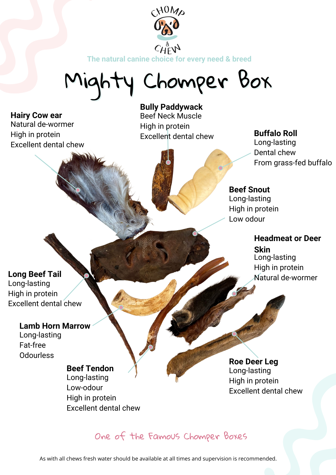 Mighty Chomper Box® -  Variety dog treats