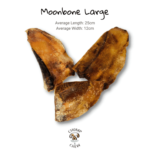 Moonbone