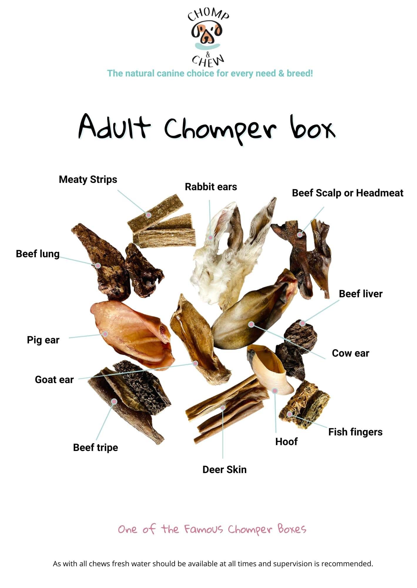 Adult Chomper variety dog treats box