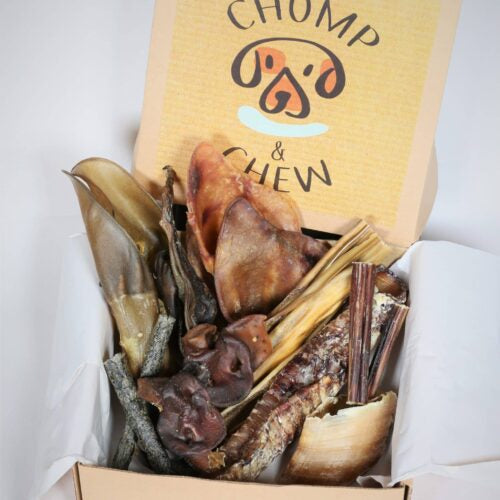 Power Chomper Box