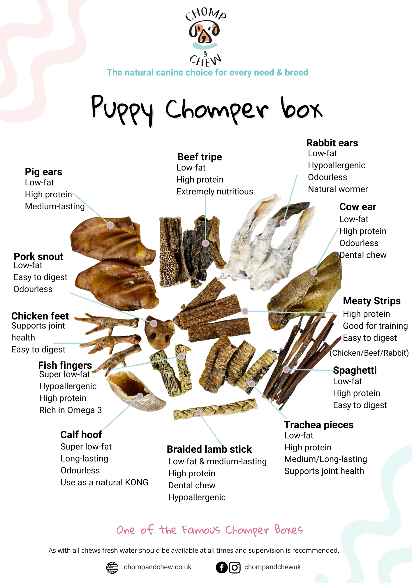 Puppy Chomper Box® - Variety Dog Treats
