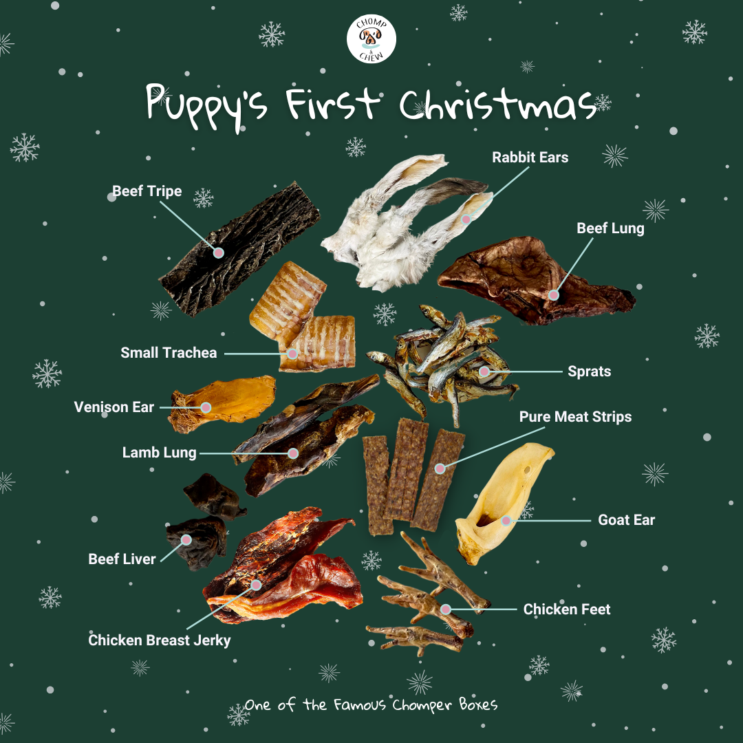 Puppy's First Christmas Festive Chomper Box®