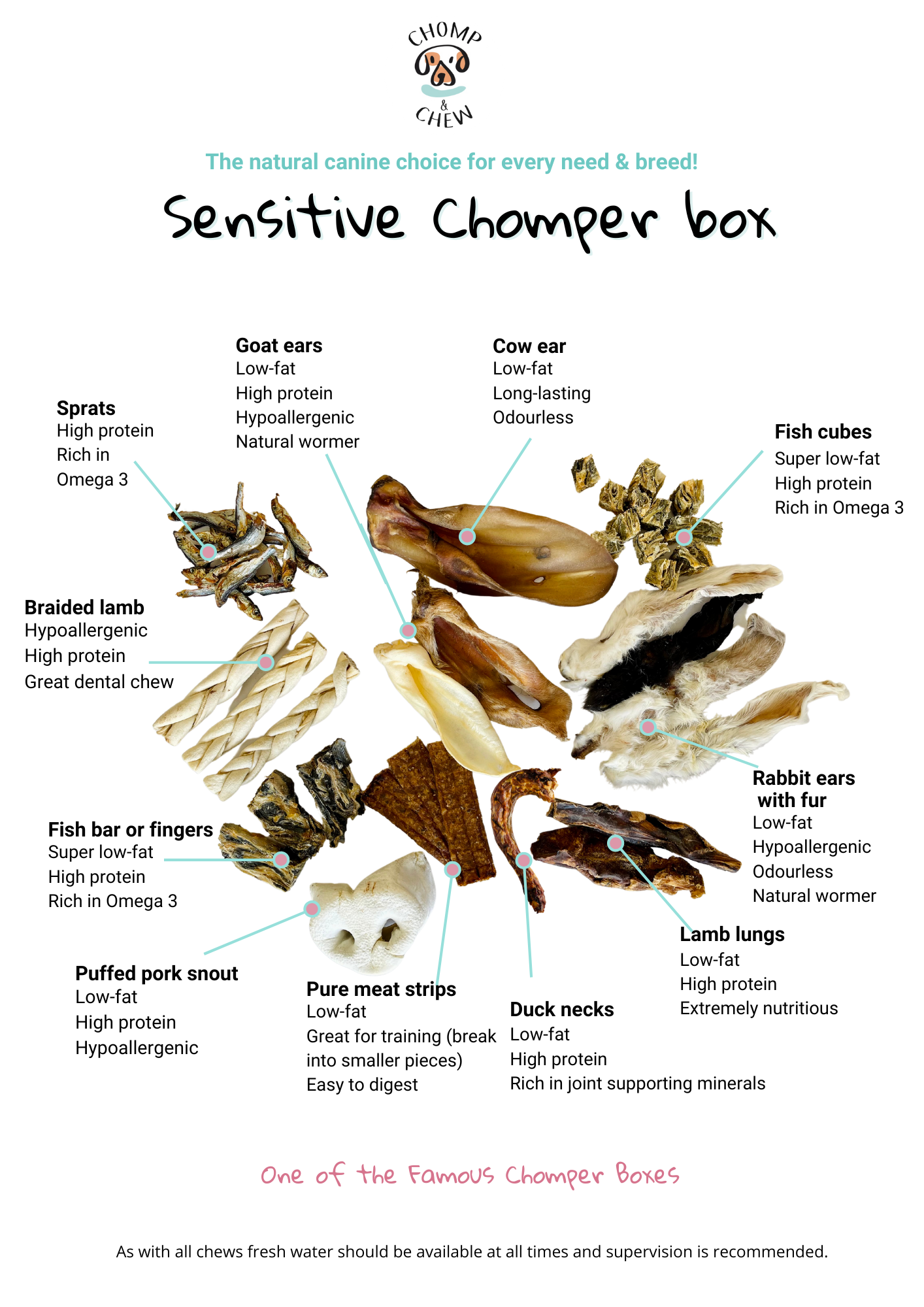 Sensitive Chomper Box® - Variety Dog Treats