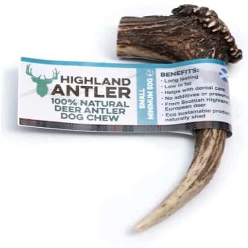 Antler Dog Chew