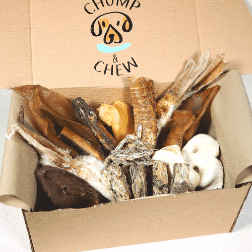 mega chew box