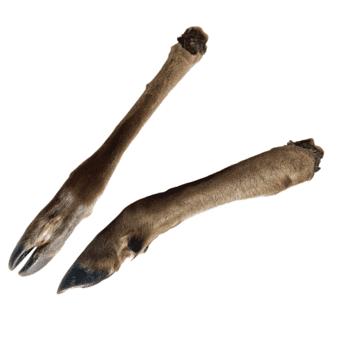Deer leg with fur LARGE