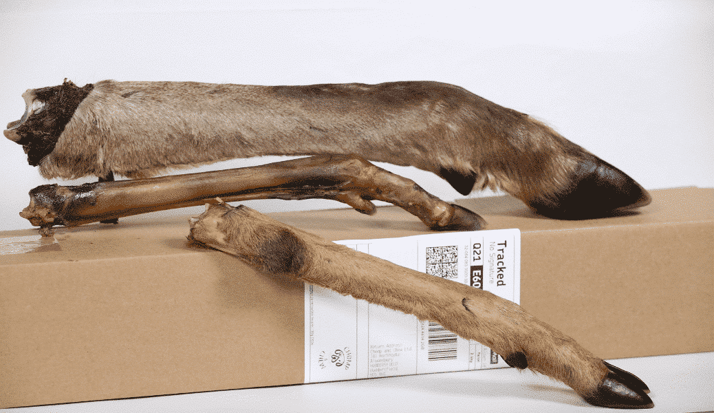 Deer leg with fur LARGE