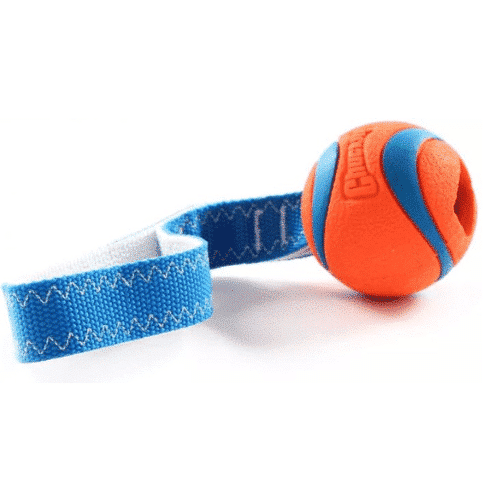 Chuckit Ultra Tug Toy Medium