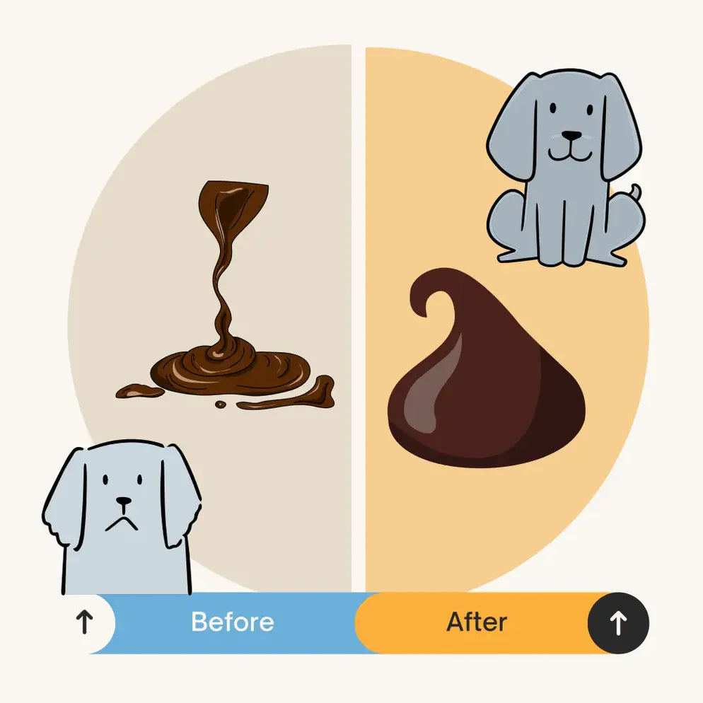 Cornish Kaolin Clay For Dogs - Digestive Support