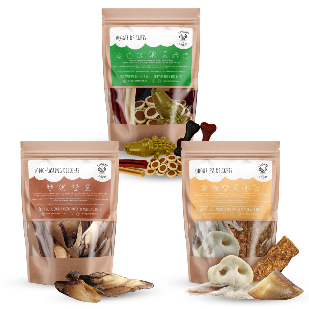 Delights Bundle