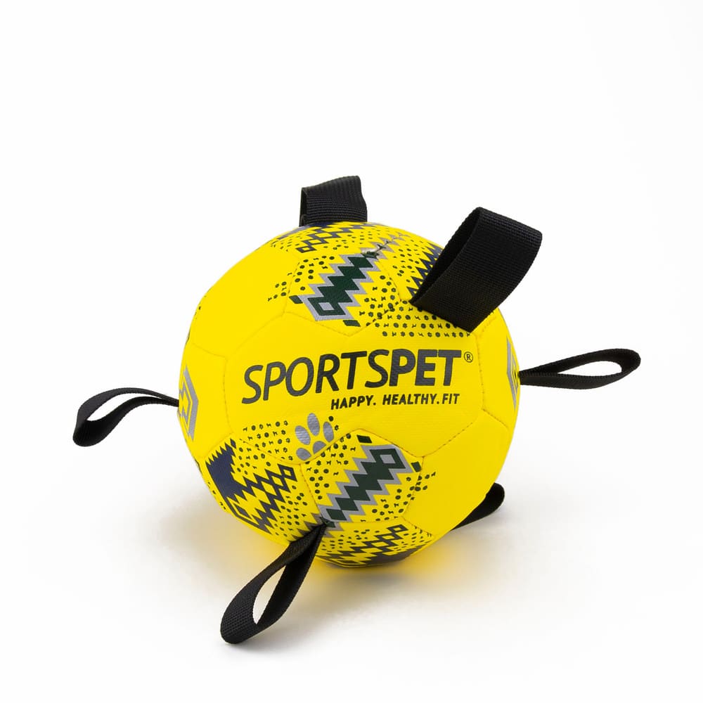 Sportspet Tab Football