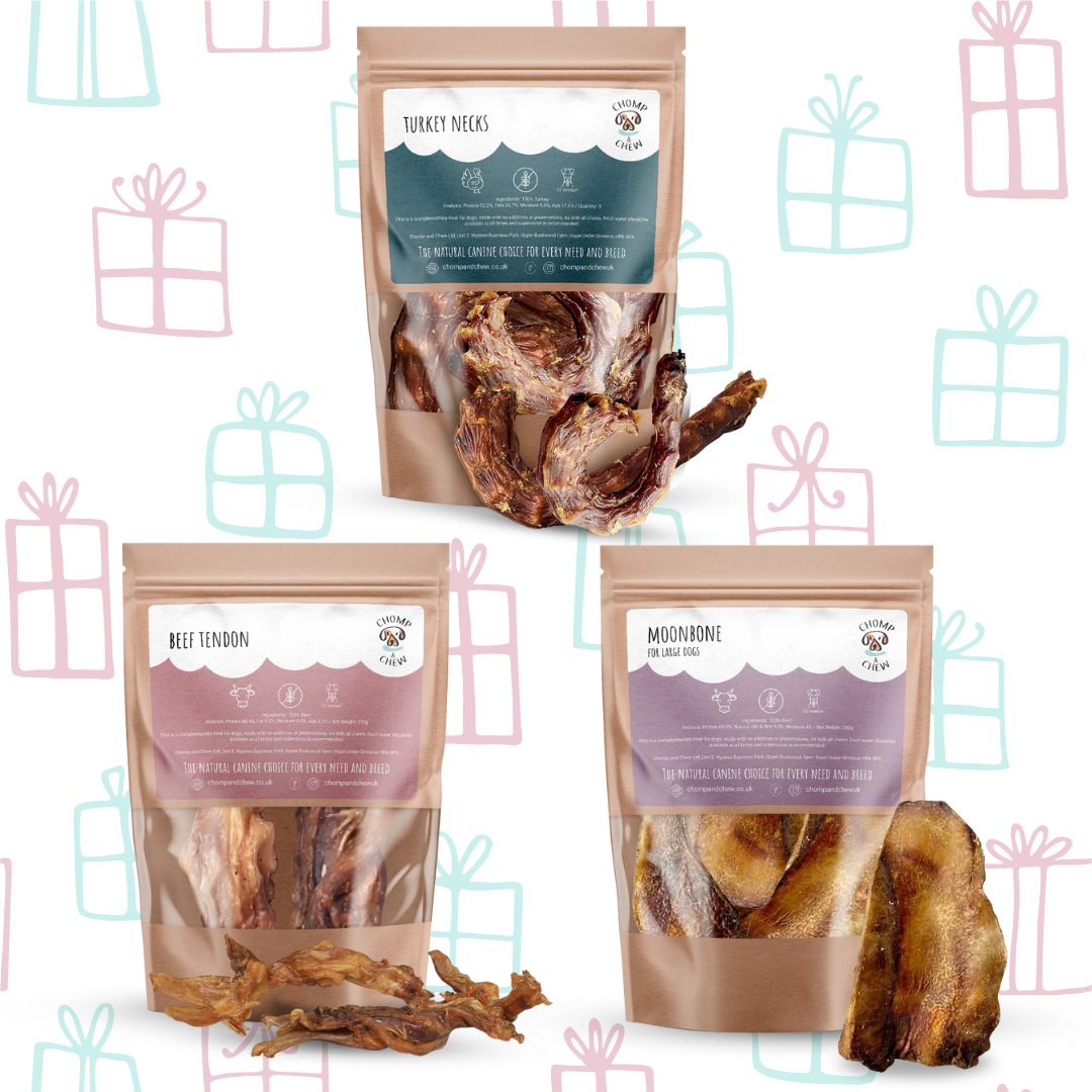 Large Dog Christmas Bundle