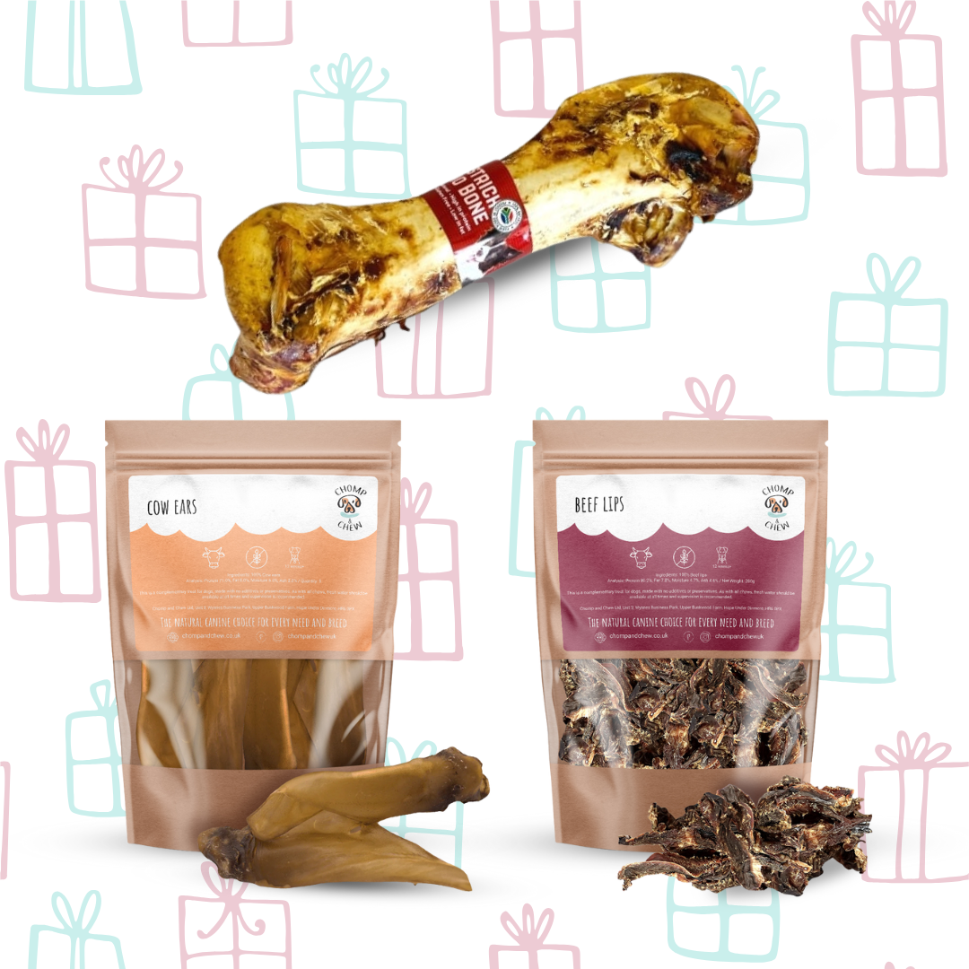 Long-Lasting Christmas Bundle